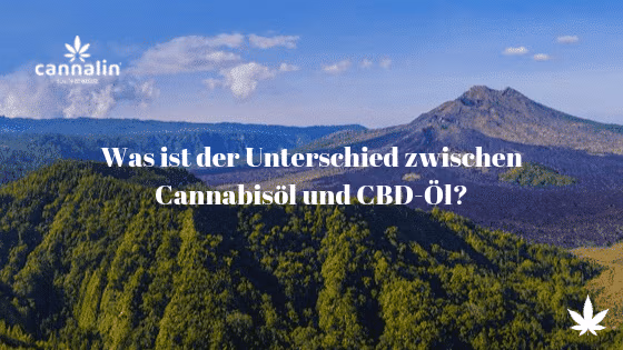 Unterschied CBD und Cannabisöl