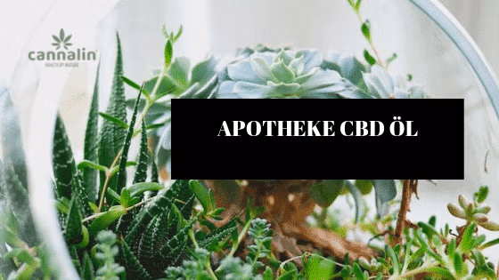 Apotheke CBD Öl