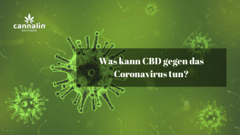 Was kann CBD gegen das Coronavirus tun_