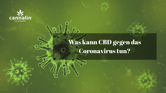 Was kann CBD gegen das Coronavirus tun_