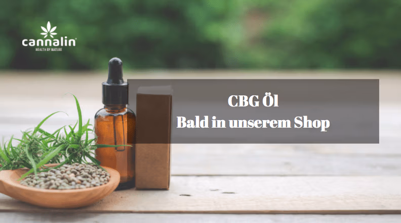 CBG Öl kaufen