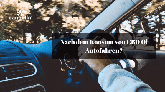 CBD und Autofahren