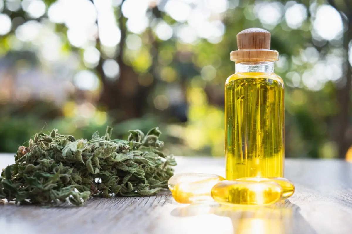 besten cbd öle