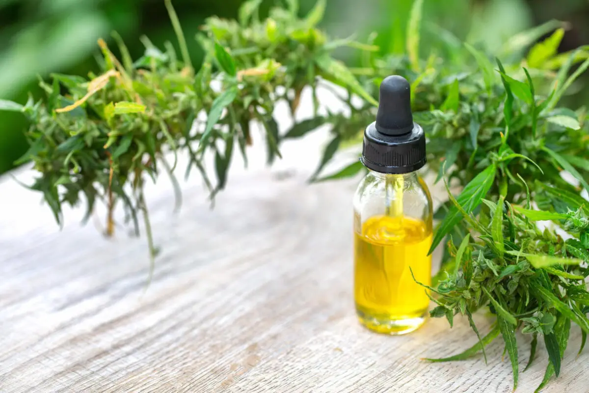bestes cbd öl