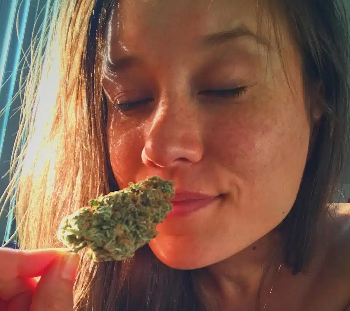 Cannabis gegen Angststörung