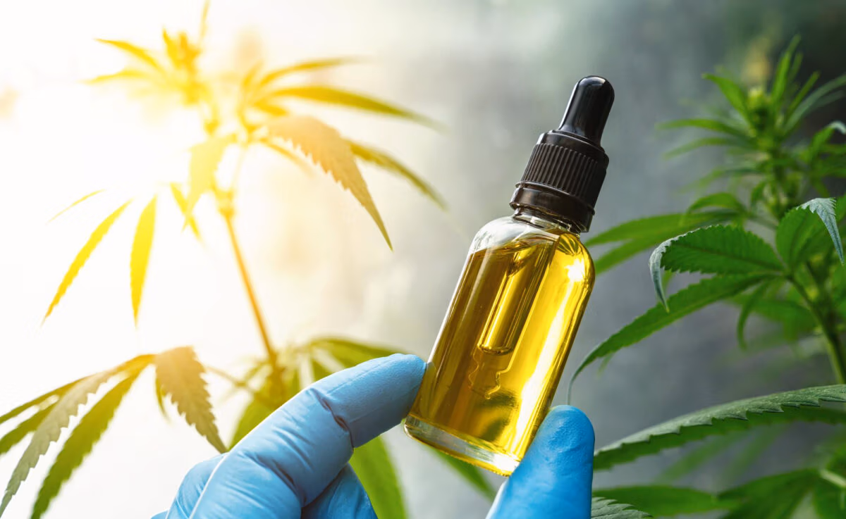 CBD Öl Bei Rossmann DM Kaufen? | Aktuelle Lage in 2025