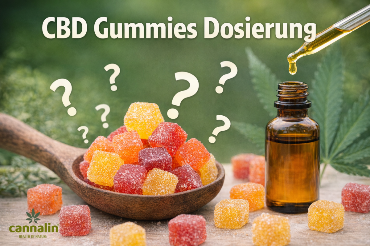CBD Gummies Dosierung